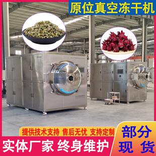 小型原位冻干机圆仓式 鹿茸冬虫夏草冻干机 天麻低温脱水干燥设备