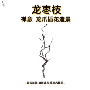 龙枣枝干枝树枝树干装饰天然树干插花干树枝造景侘寂风干禅意摆件