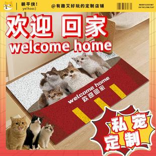 猫咪地毯垫子定制哈基米进入户门口玄关丝圈家用床边毯耐磨脏防滑