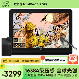 XPPen数位屏Artist Pro 16(2.5K)数位板电脑绘画手绘板全贴合手绘