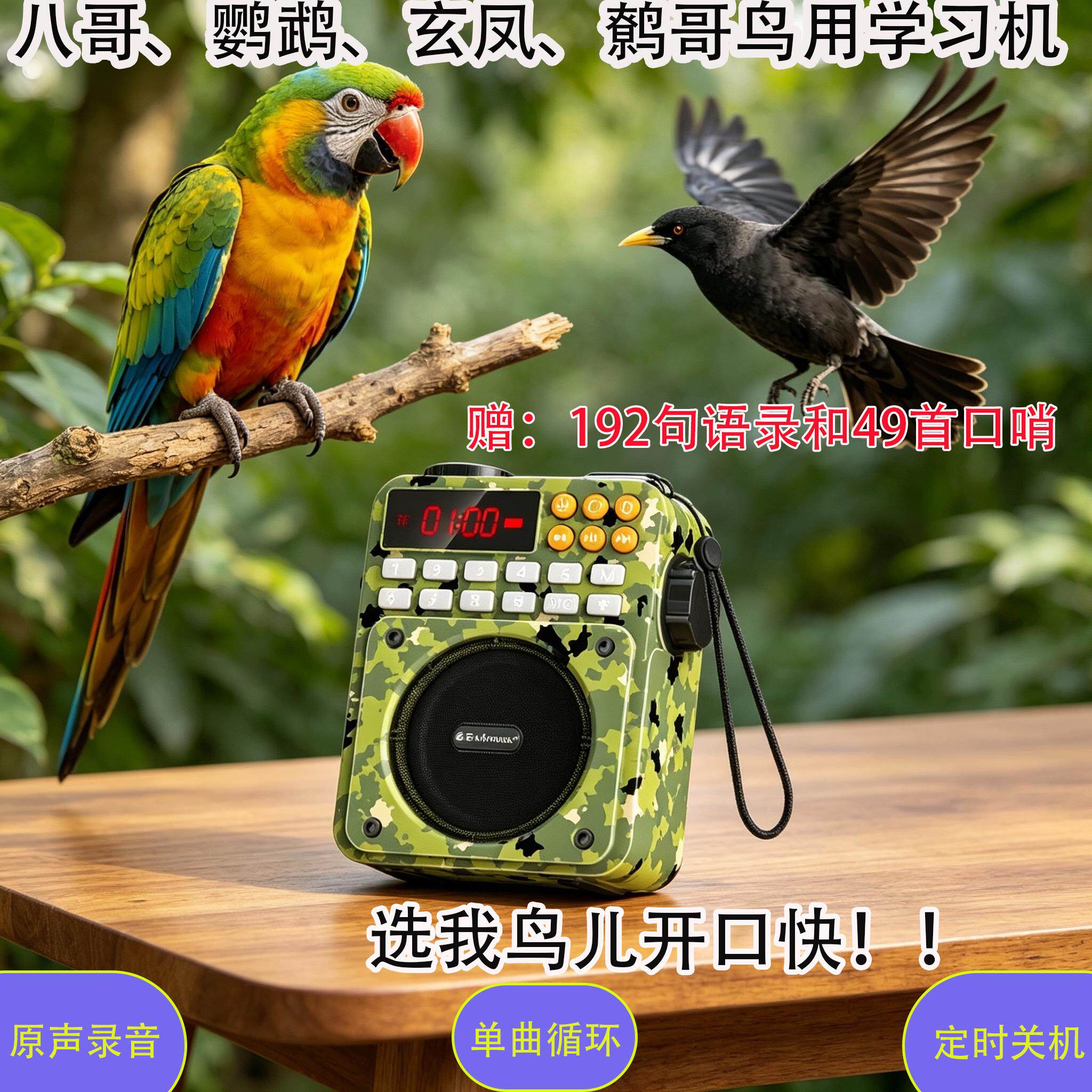 鸟用学习机复读机教八哥鹩哥鹦鹉鸟学说话机训练机高音质学语器
