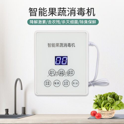 水果蔬菜净化器食材清洗机家用杀菌除农残自动洗菜机宠物消毒机