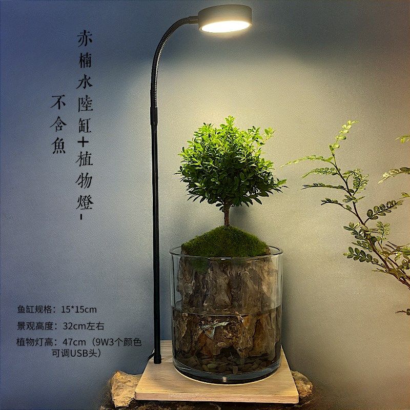 微景缸苔藓养鱼龟水陆缸赤楠缸四季常青办公室客厅盆栽桌面水族缸