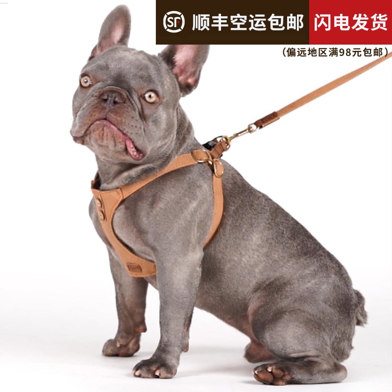 狗狗牵引绳颈圈柯基泰迪中型小型犬遛狗项圈宠物背心式胸背带狗绳