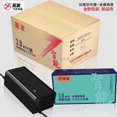 高档英发2代电动车48v60v72v铅酸电池充满绿灯智能脉冲原装正品充