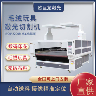 双轨异步激光裁布机 定位激光切割机手袋网纱窗帘蕾丝激光切割机
