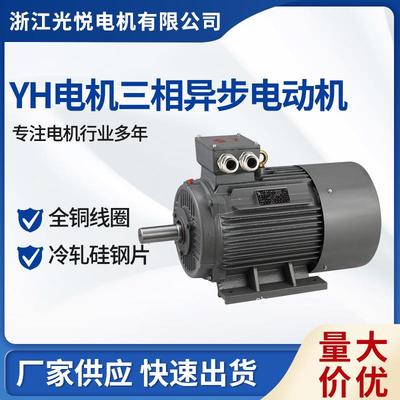 Y225M-22KW-8-H水泵真空泵设备卧式交流恒力电机船舶船用电机马达