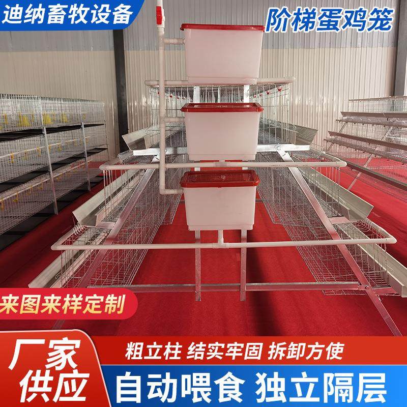 产蛋鸡全自动全套养殖多层鸡笼滚动鸡蛋阶梯式自动双边家用大鸡笼,农机/农具/农膜,农用防护器具,淘宝优惠券,粉丝福利购,淘宝优惠卷