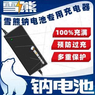 雪熊钠离子电池充电器电动车充电器12v24v36v48v60v72v各种容量