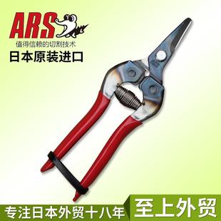 310稀果剪采果剪摘果剪水果 日本进口爱丽斯ARS 柑橘采摘翘头剪刀