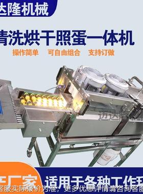 小型单排洗蛋机烘QII干风机蛋鸡白鸭蛋清洗设备粉壳野鸡蛋鸭蛋清