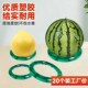 超市水果固定器圆形橡胶圈v圈摆放西瓜垫圈防滑垫塑料套圈放西瓜
