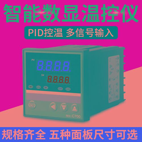 温度控制器REXC100数显智能温控仪可调恒温器2R20V自动开关温控