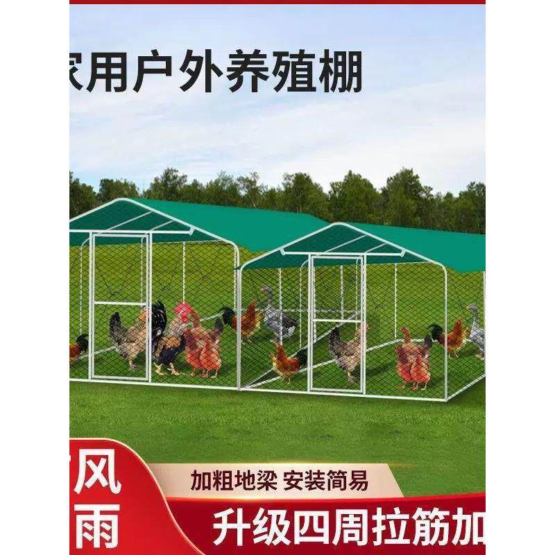 防雨防晒简易棚搭建鸽笼户外鸡棚鸡笼养鸡鸽笼家禽大型鸽笼鸡笼子