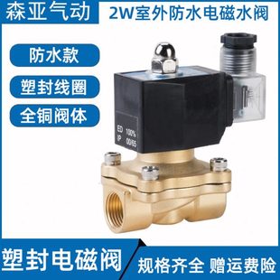 室外防水全铜电磁控制电阀开关水阀气阀220v24v12v4分6分1寸半2寸