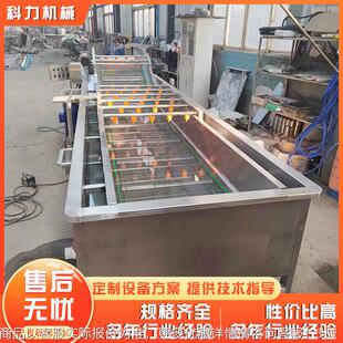 大用枣清洗流水线 OSY商水果高压气泡清洗 红枣全动鼓泡清自洗机