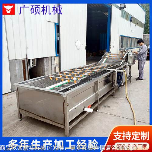 剥鹑壳后鹌蛋清杂质设备 多功洗能SMO清气泡清洗机 蔬菜水果洗机