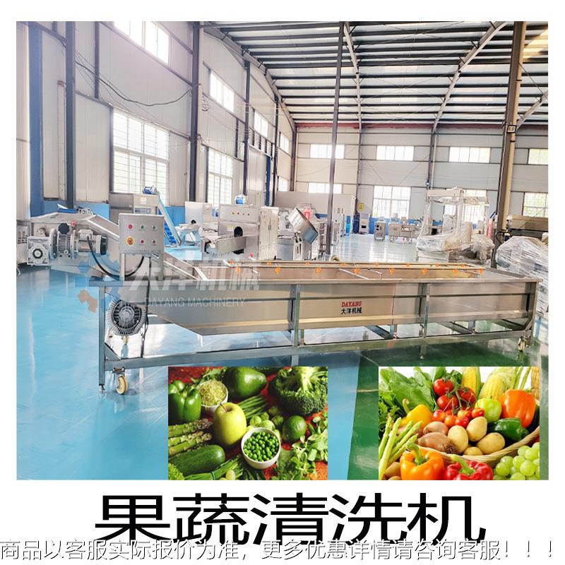 全自洋葱设清洗机不锈钢材质泡式清洗备SOS加臭氧桃子杏动子清洗