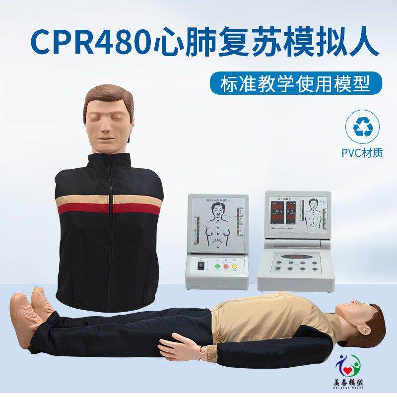 CPR心肺复苏模拟人半身医学用急救假人工呼吸训练橡皮人体模型人