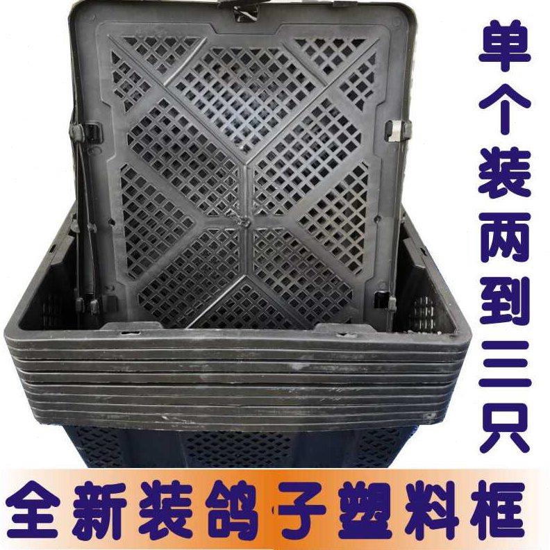 透气塑料框带盖芒果框鸽子兔子宠物活禽运输筐快递打包周转箱筐