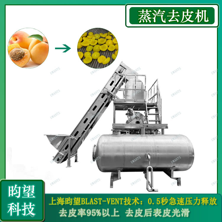 果蔬蒸汽去皮机 果脯果干加工去皮设备 葡萄脱皮机
