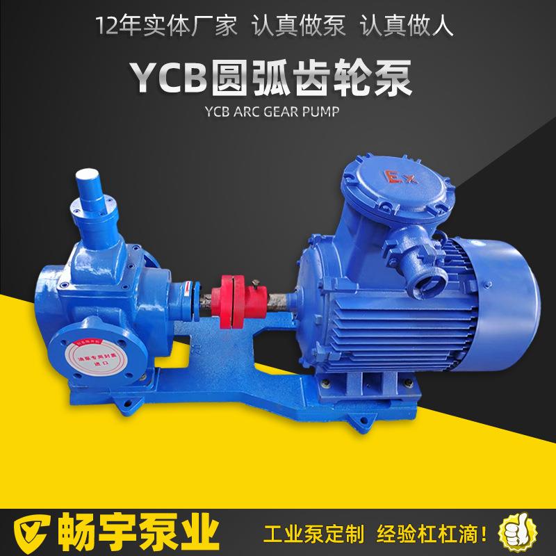 ycb圆弧齿轮泵ycb1.6/0.6汽油柴油输送圆弧齿轮泵