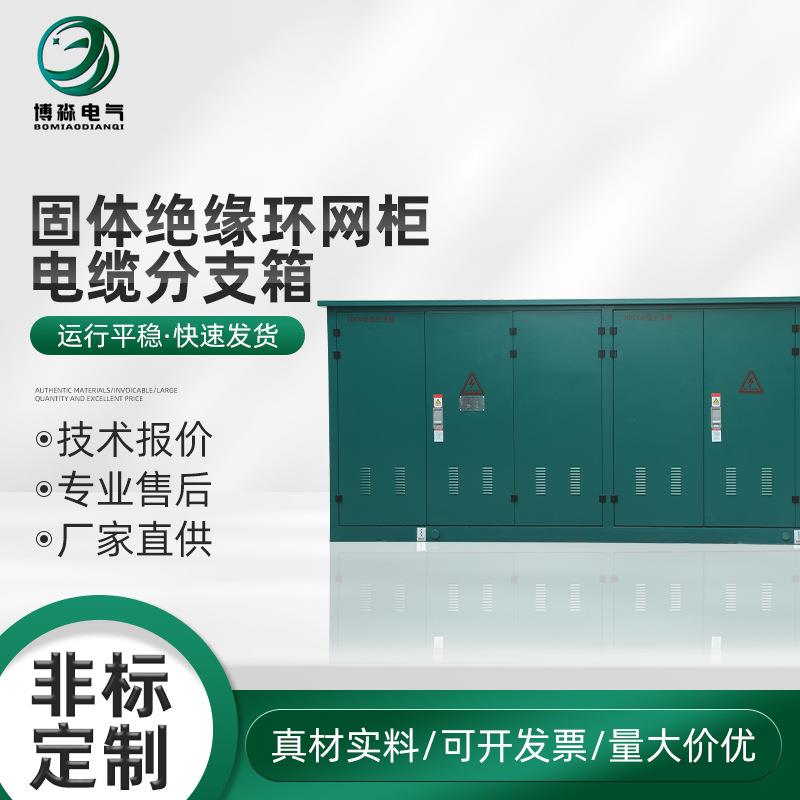 固体绝缘环网柜电缆分支箱分接箱户外高压箱分接箱配电箱