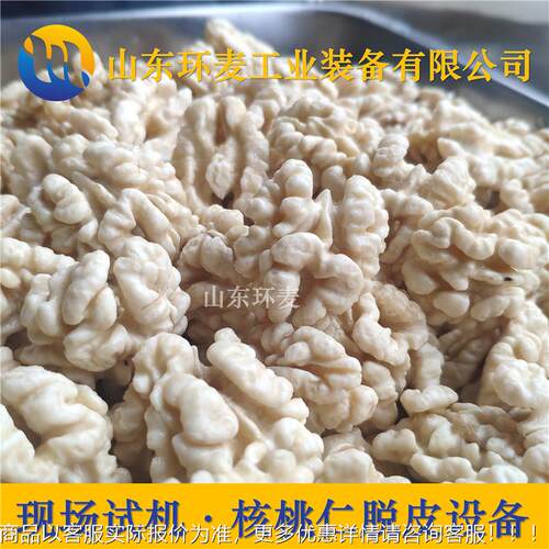 核桃仁设备 纯理核仁去桃皮机SPJ 环麦整核套桃仁物脱皮设备