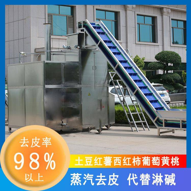 葡萄罐头蒸汽去皮机葡萄纯物理高温爆皮去皮设备阳光玫瑰脱皮机