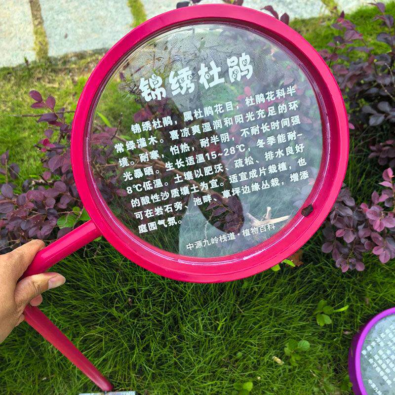 草地户外立式小草爱护认知牌公园草坪绿化温馨警示金属提示牌定制