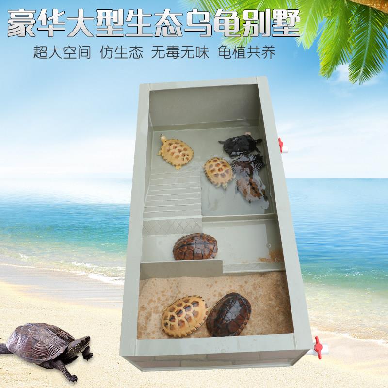 环保塑料龟缸水陆两用养龟池 大型爬宠繁殖箱阳台养龟适用