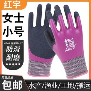 星宇红宇手套L869女小号全浸发泡防水防滑乳胶水产工地耐磨劳保防