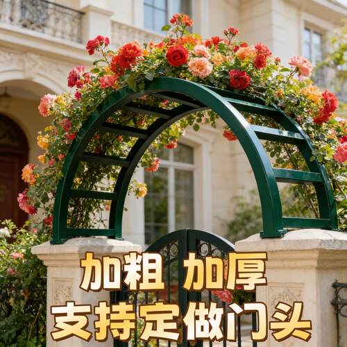 加粗加厚铁艺花架门头庭院装饰30MM加粗管径花拱门支撑架支持定制