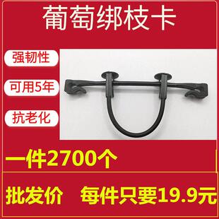 新款葡萄绑枝卡扣绑蔓树苗枝条卡子奇异果挂钩卡扣子扎丝塑料包邮