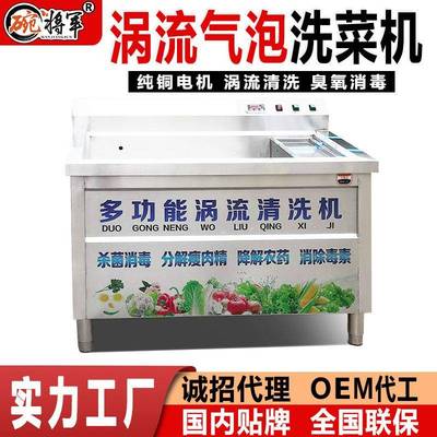 商用洗菜机超声波涡流洗菜机餐厅饭店鼓气泡臭氧水果蔬菜清洗肉机