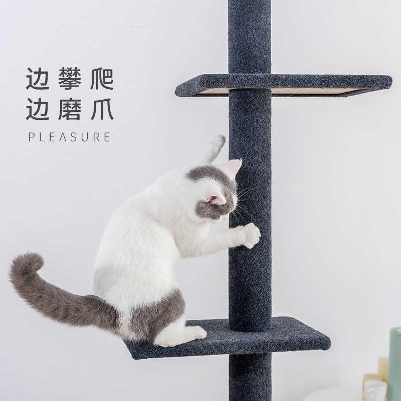新品一件包邮顶天立地猫爬架加粗稳固通天柱大型猫跳台猫树