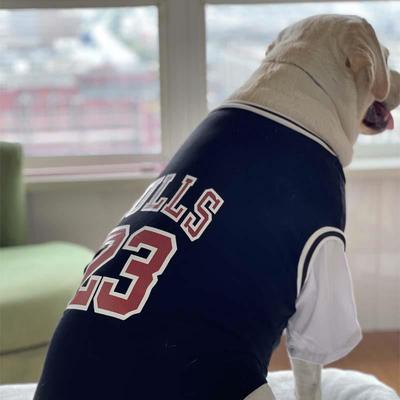 狗狗衣服大型犬夏季薄款潮牌衣服金毛拉布拉多防掉毛衣服猫咪衣服