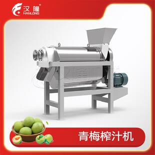 厂家直销全自动青梅榨汁机不锈钢小型工业苹果青提葡萄螺旋榨汁机