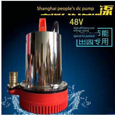 便携式小型电瓶动车家用农用直流水泵12V24V48V高扬程船用潜水泵