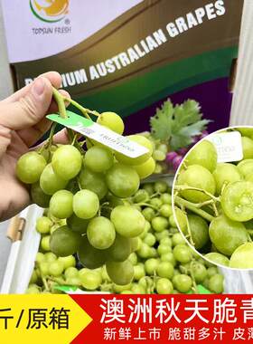 澳洲进口品种秋天脆青提无籽甜地球提子脆甜绿葡萄多汁9斤礼盒装