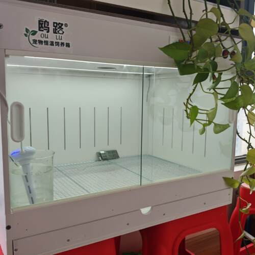 LED灯双温控循环风抽屉款宠物保温箱79*41*47大尺寸鹦鹉保温箱