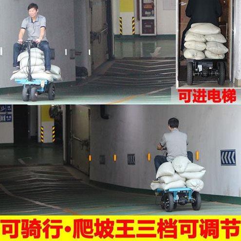 倒骑驴电动平板车搬运车拉沙子水泥装修周转车手推车爬坡王三轮车