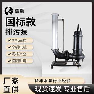 6级污水提升器滑轨式 排污泵160KW4 地下室泵站集水坑水泵