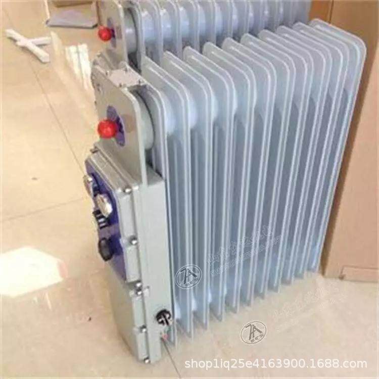 矿用防爆取暖器RB-2000/127(A)防爆电取暖器防爆电暖气