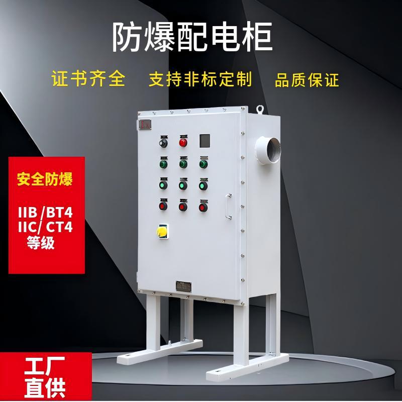 防爆喷码机配电柜照明电源动力检修柜plc变频器触摸屏防爆控制柜