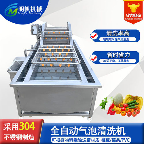 西红柿辣椒清洗机果蔬气泡清洗