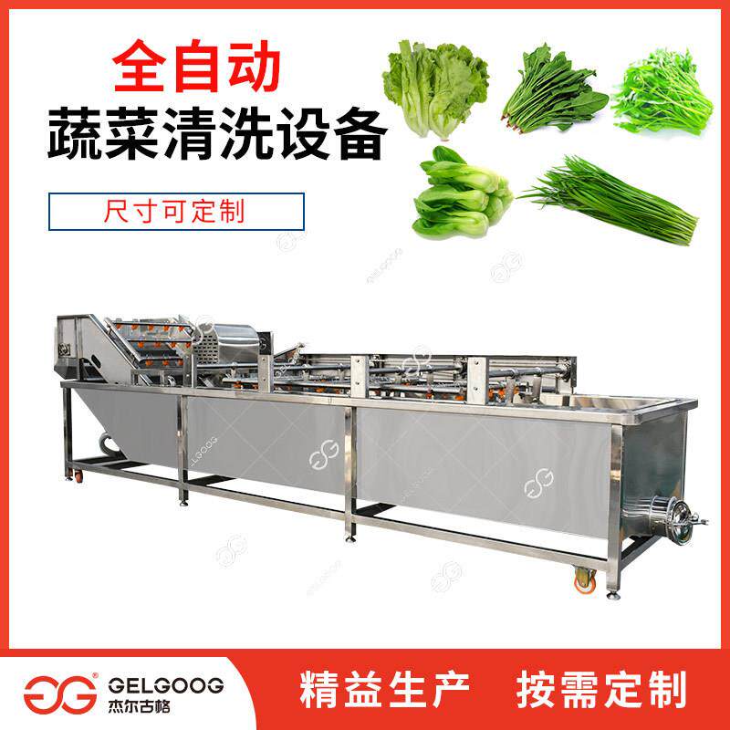 果厂蔬菜蔬菜韭VDE黄清洗机洗韭菜生清洗机器全自动连菜续洗设备