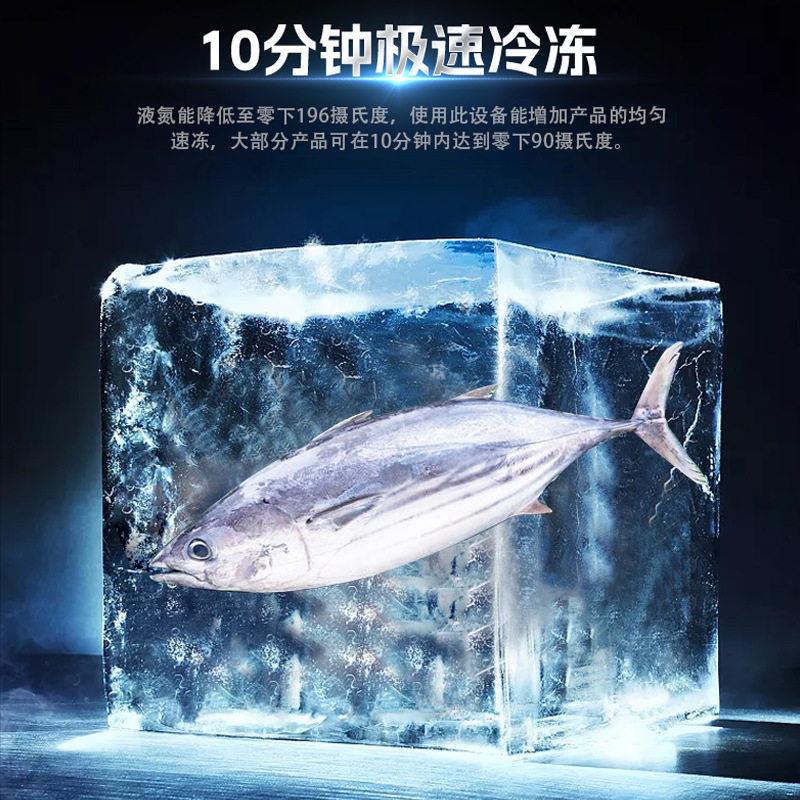 面23食汤圆食品加工氮机隧道式液速冻带鱼段鲅冻鱼超低温冷机