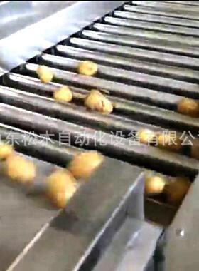 滚子杠分选机选果机核小柿楂山分级机猕猴桃分拣机MAGA-102桃芒果