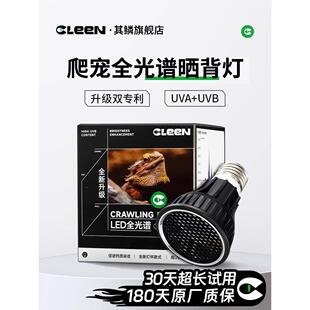 清洁全光谱海龟日光浴灯攀爬宠物Uvb灯泡蜥蜴黄边海龟水箱Uva加热